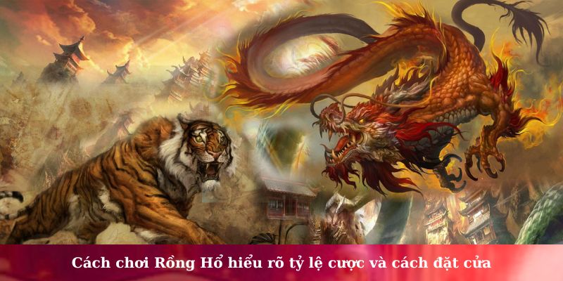 cách chơi rồng hổ